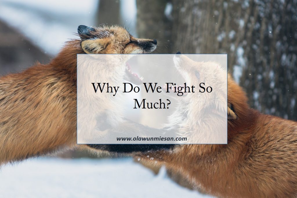 Why Do We Fight So Much?