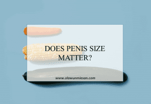 penis size